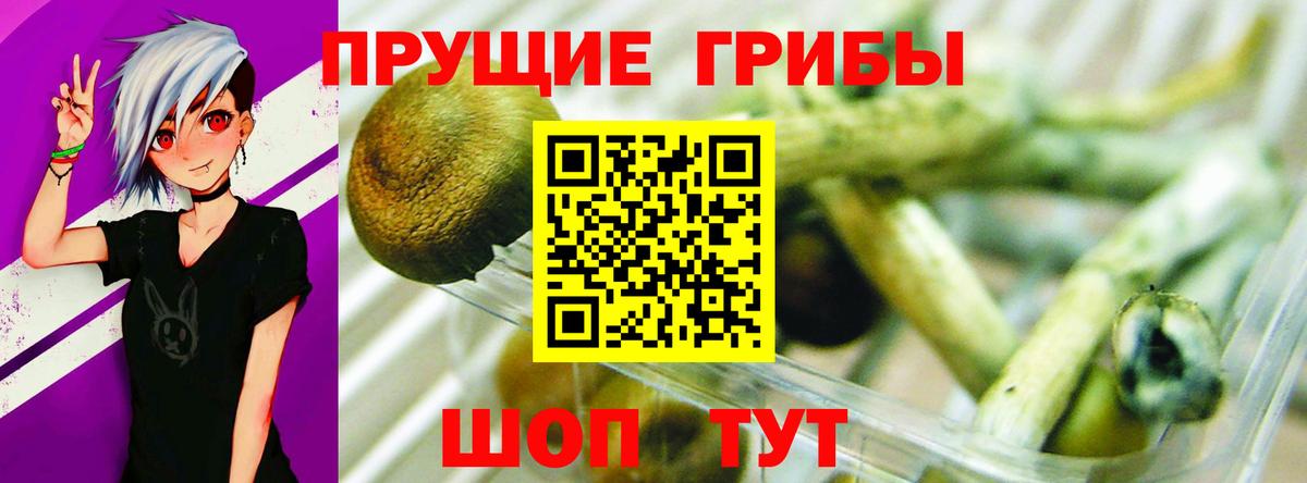 Галлюциногенные грибы ЛСД  Вход с VPN  Красноармейск 